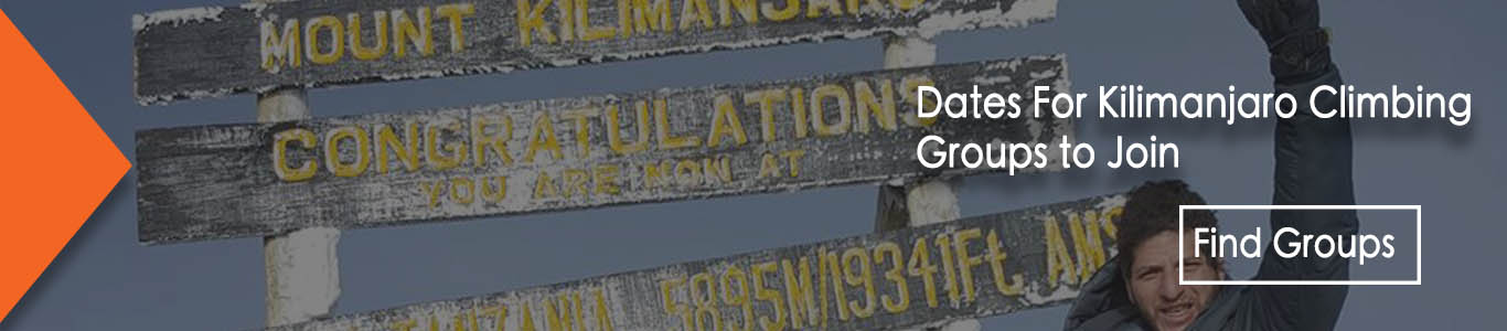 Fixed Dates Join Group Kilimanjaro climb and Safari Tanzania