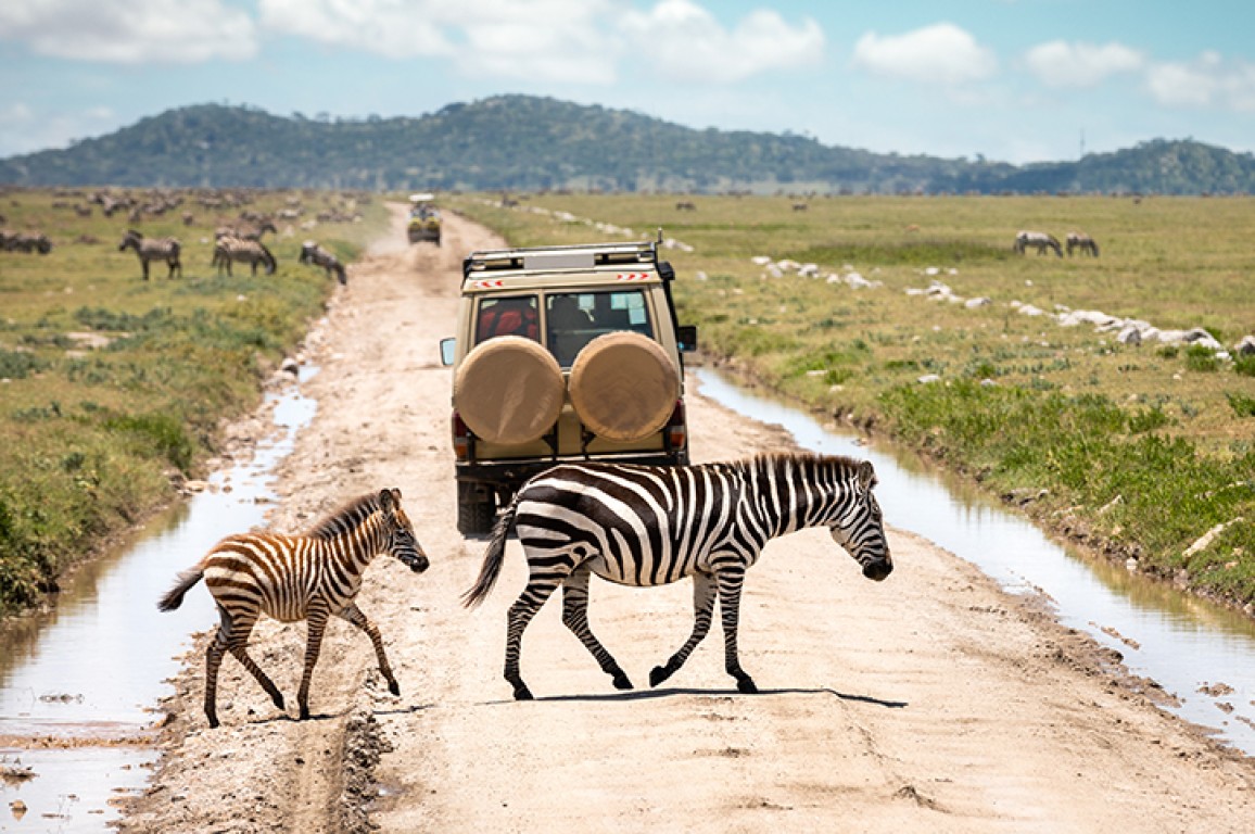 2 Day Tanzania Camping Safari to Tarangire and Ngorongoro