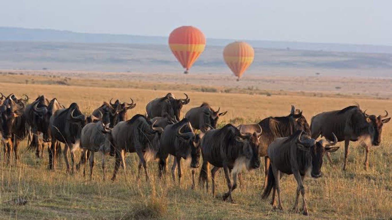 3 Days Serengeti Wildebeest Migration Tanzania Safari