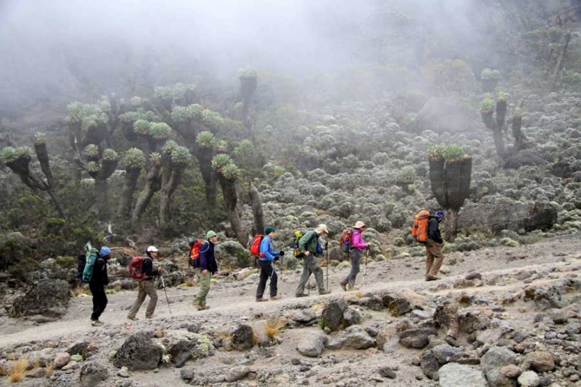 7 Days Kilimanjaro Climbing Rongai Route