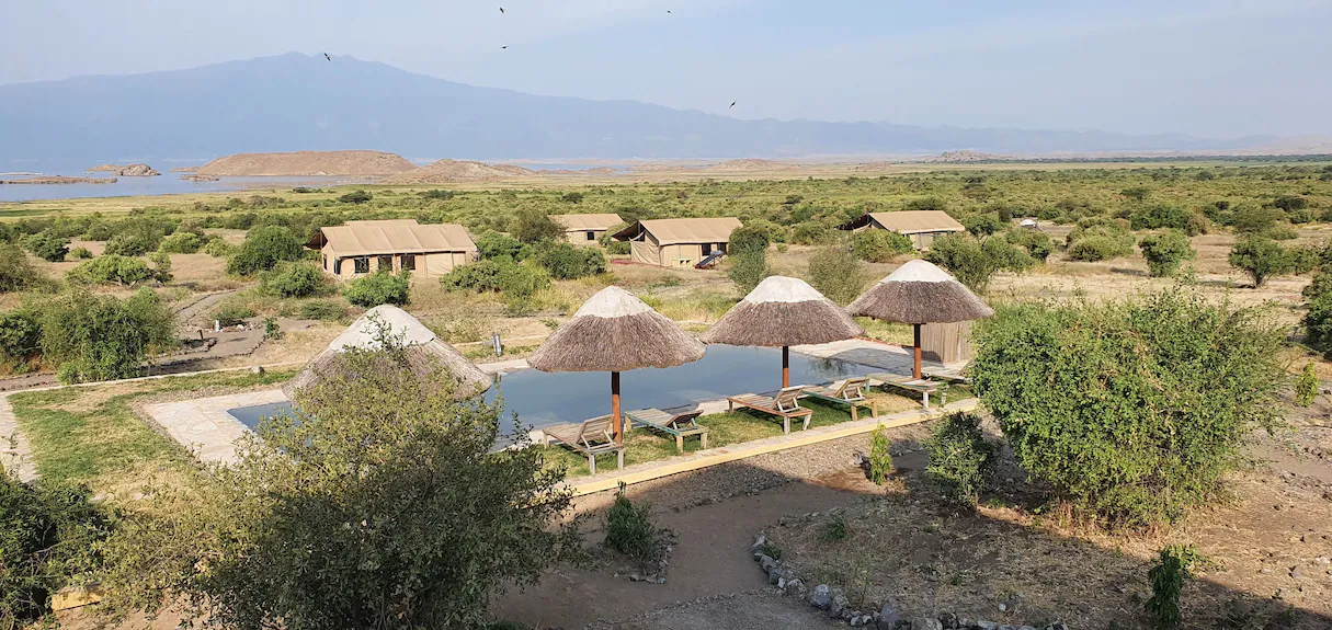 Africa Safari Lake Natron