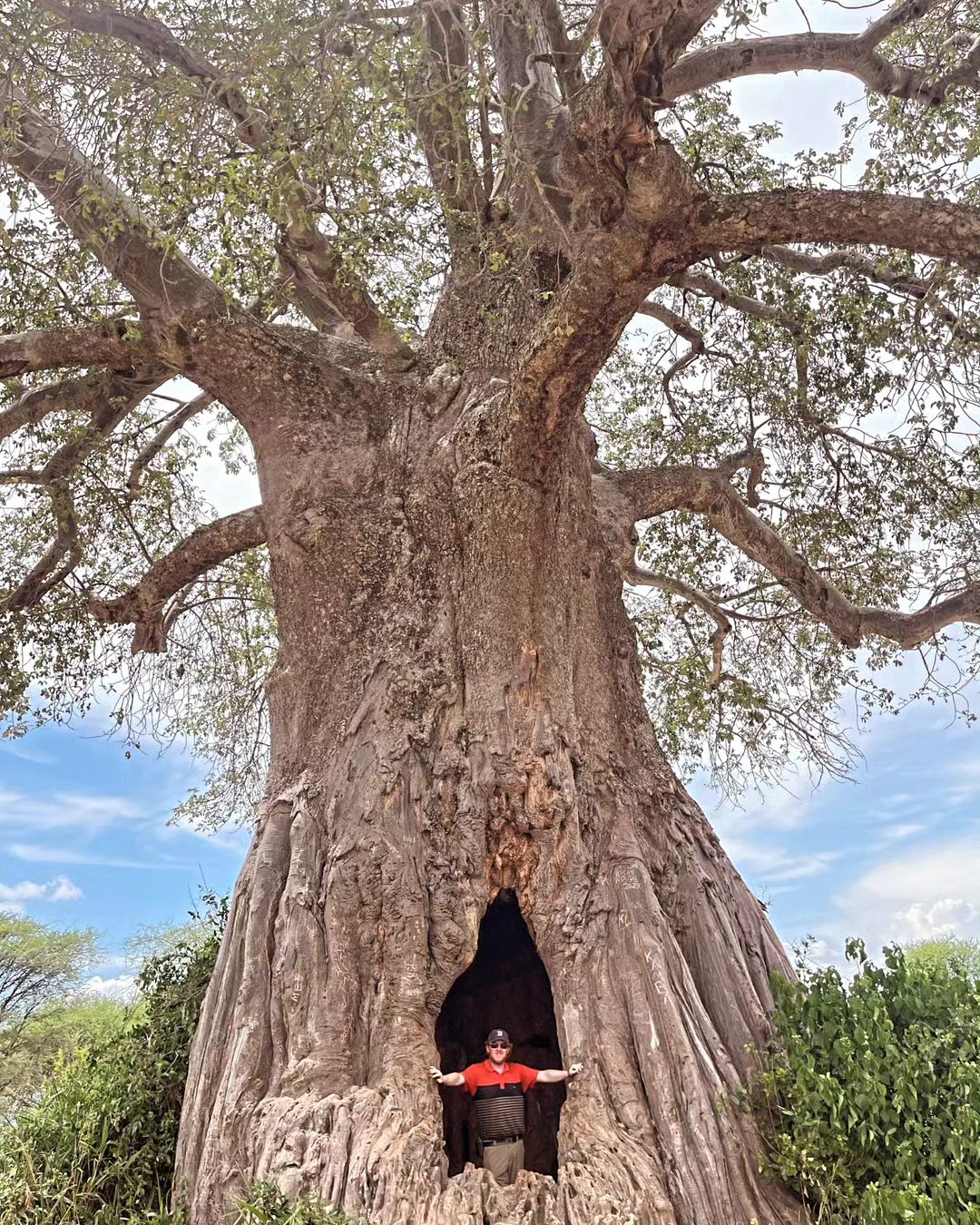 Best Tanzania Safari Tours: Experience the Best of East Africa in One Journey