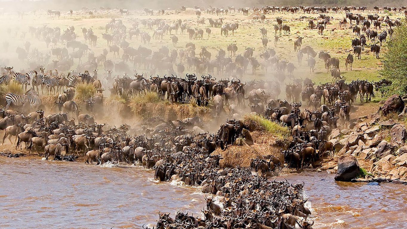 Best Time to See the Serengeti Migration