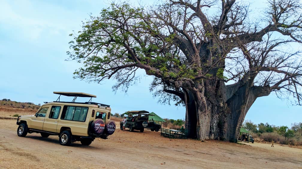 Best Time to Visit Tanzania (Safari & Zanzibar Guide)