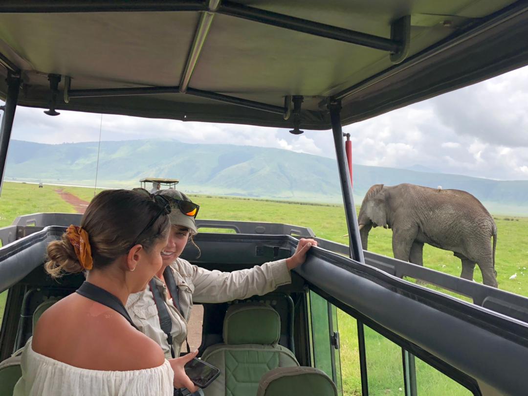 How Many Days for Tanzania Safari? Best Trip Length Guide