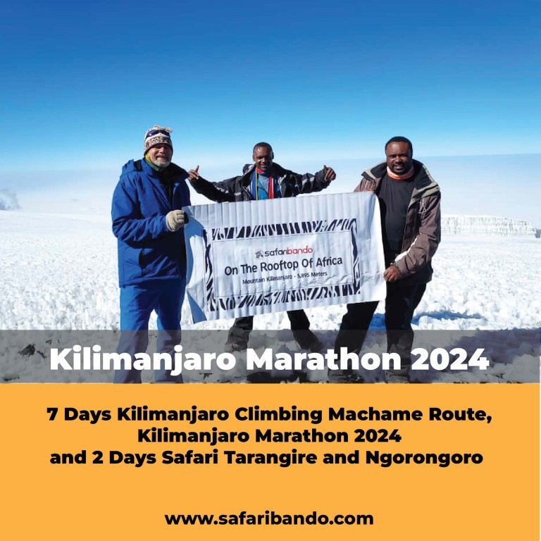 Kilimanjaro Marathon 2024, 7 Days Kilimanjaro Climbing and 2 Days Safari