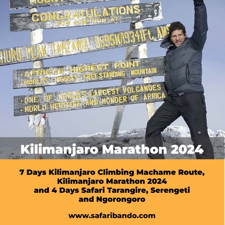 Kilimanjaro Marathon 2024, 7 Days Kilimanjaro Climbing and 4 Days Safari