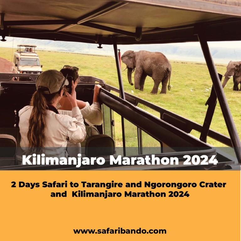 Kilimanjaro Marathon 2024 and 2 Days Safari to Tarangire and Ngorongoro Crater,11