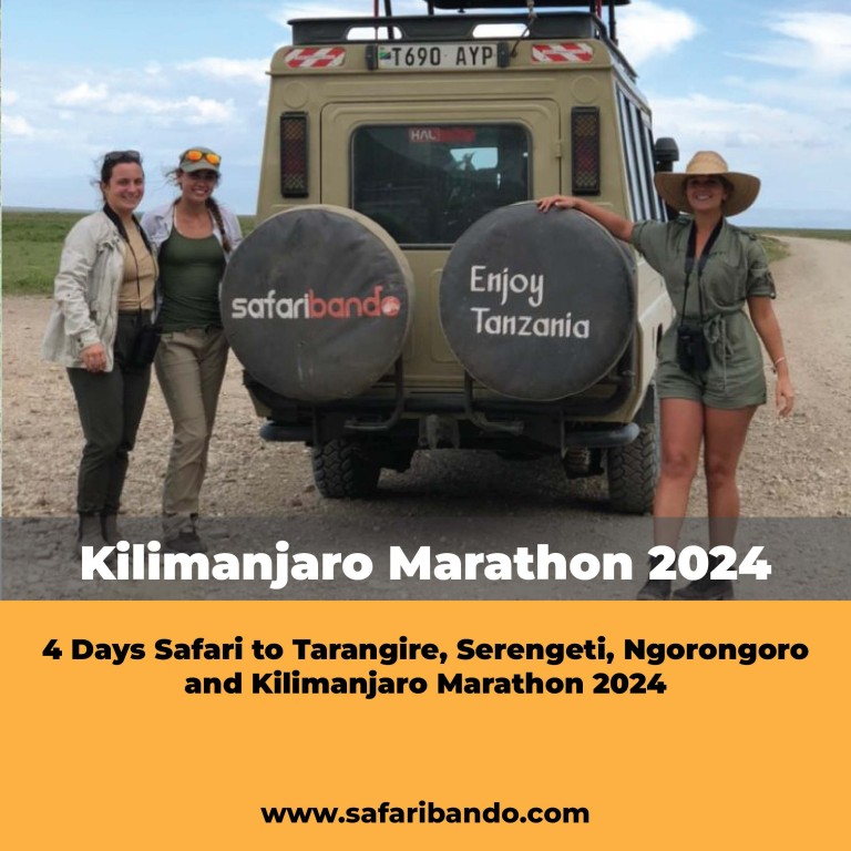 Kilimanjaro Marathon 2024 and 4 Days Safari to Tarangire, Serengeti and Ngorongoro Crater
