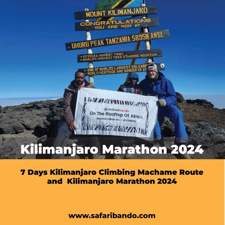 Kilimanjaro Marathon 2024 and 7 Days Kilimanjaro Climbing Via Machame Route,11
