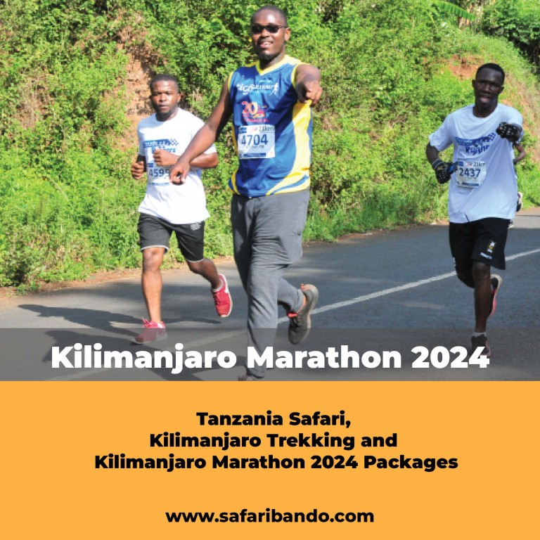 Kilimanjaro Marathon 2024