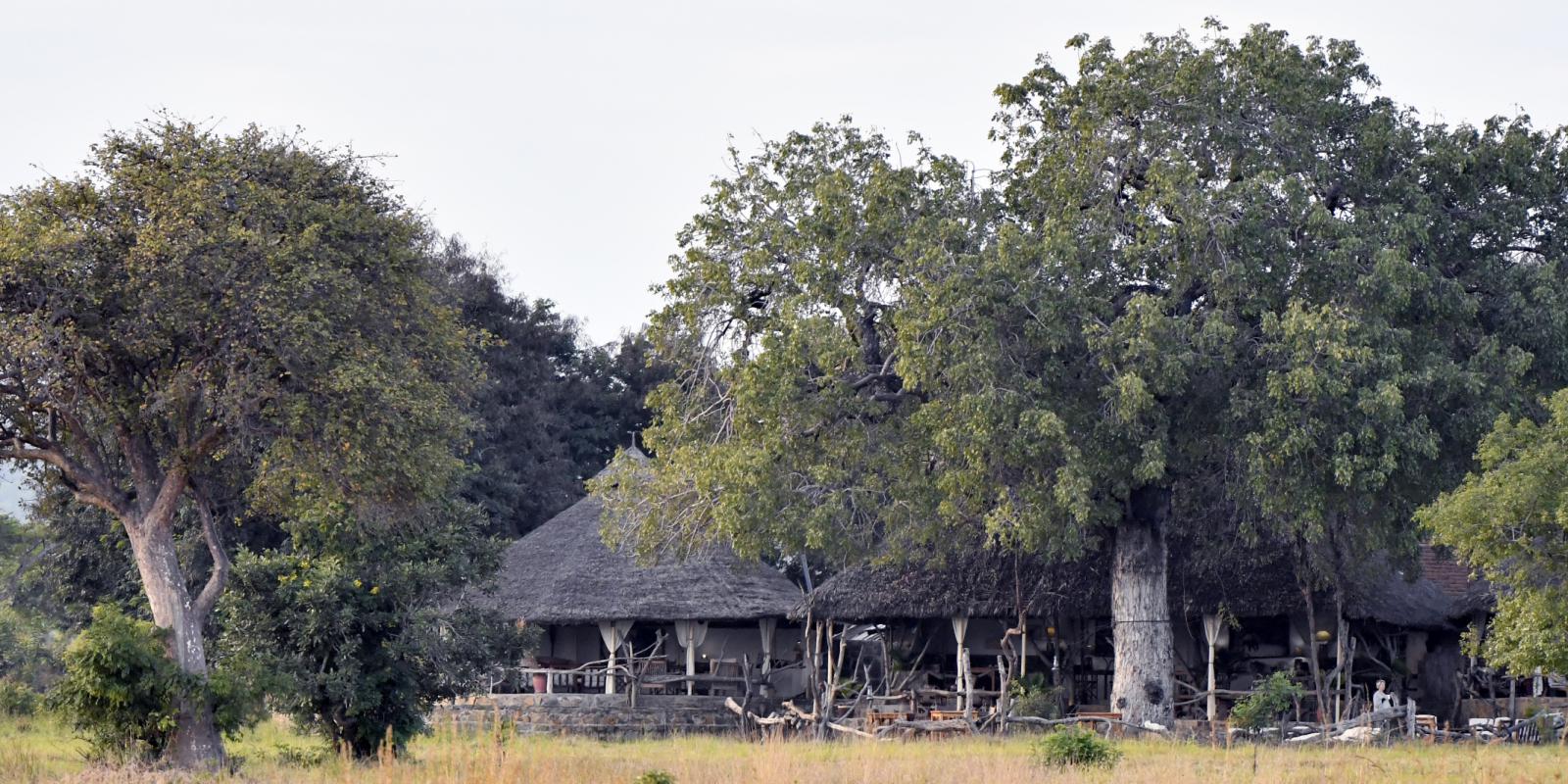Mikumi wildlife Camp