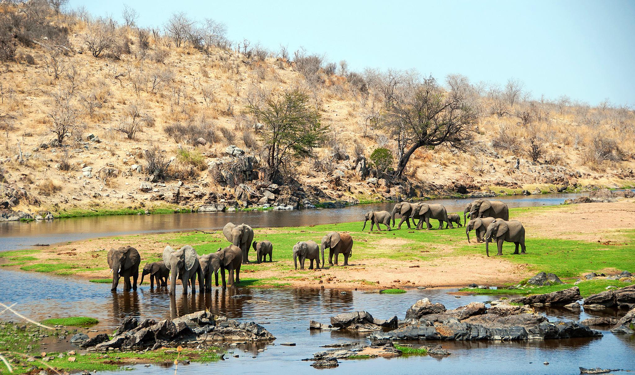 Tanzania National Park Fees: Serengeti, Tarangire, Kilimanjaro & More