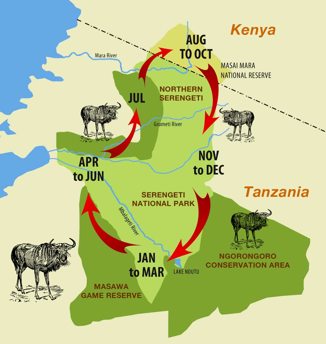 erengeti Migration Map: Route of the Great Wildebeest Migration