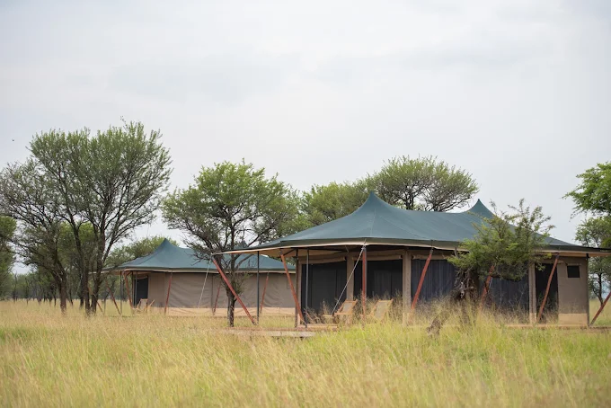 Serengeti Queens Camp