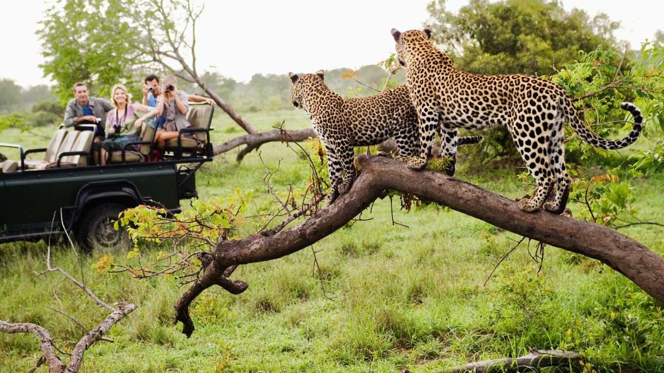 South Africa Safaris