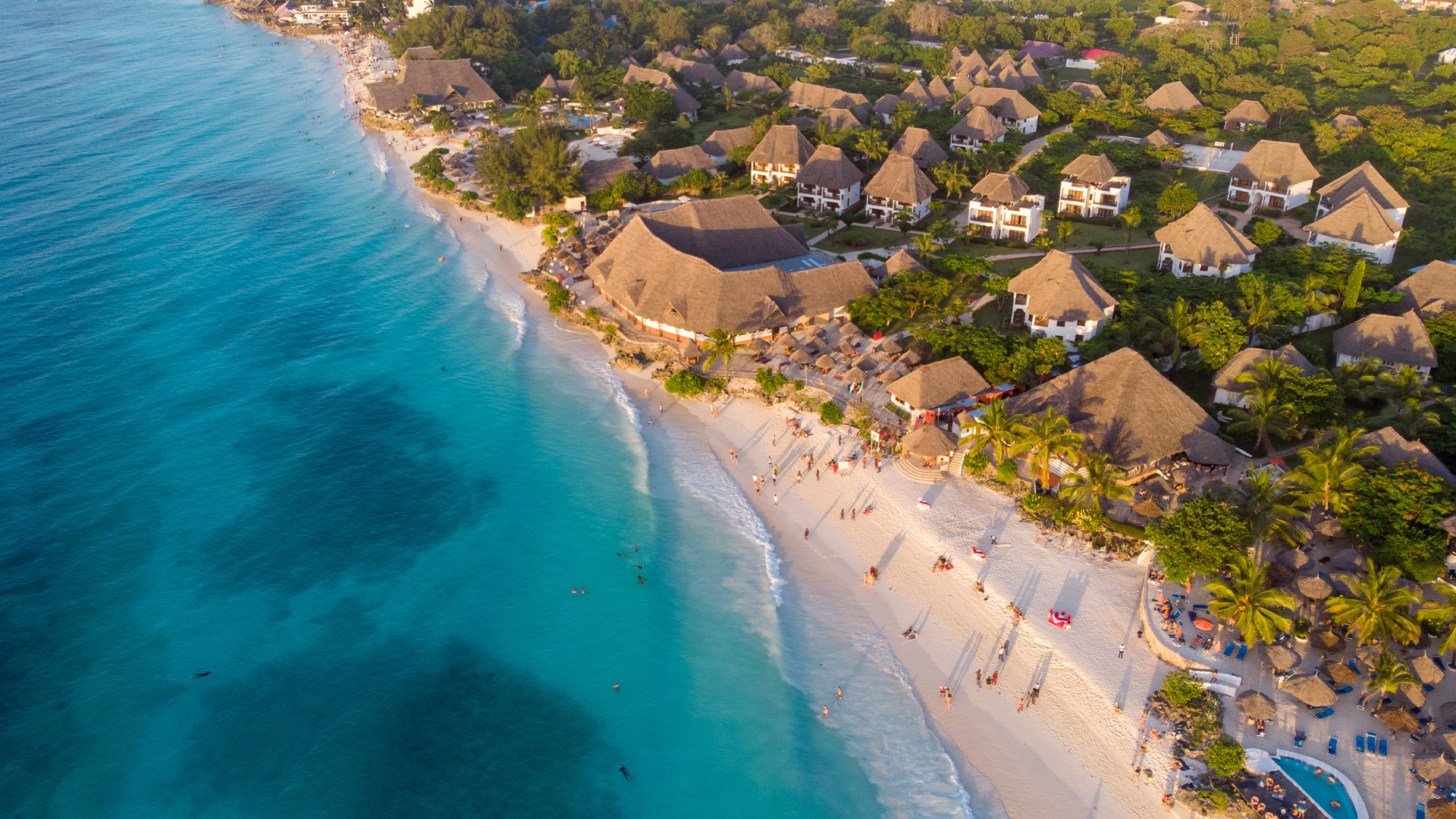 Top Zanzibar Experiences: Best Things to Do in Zanzibar