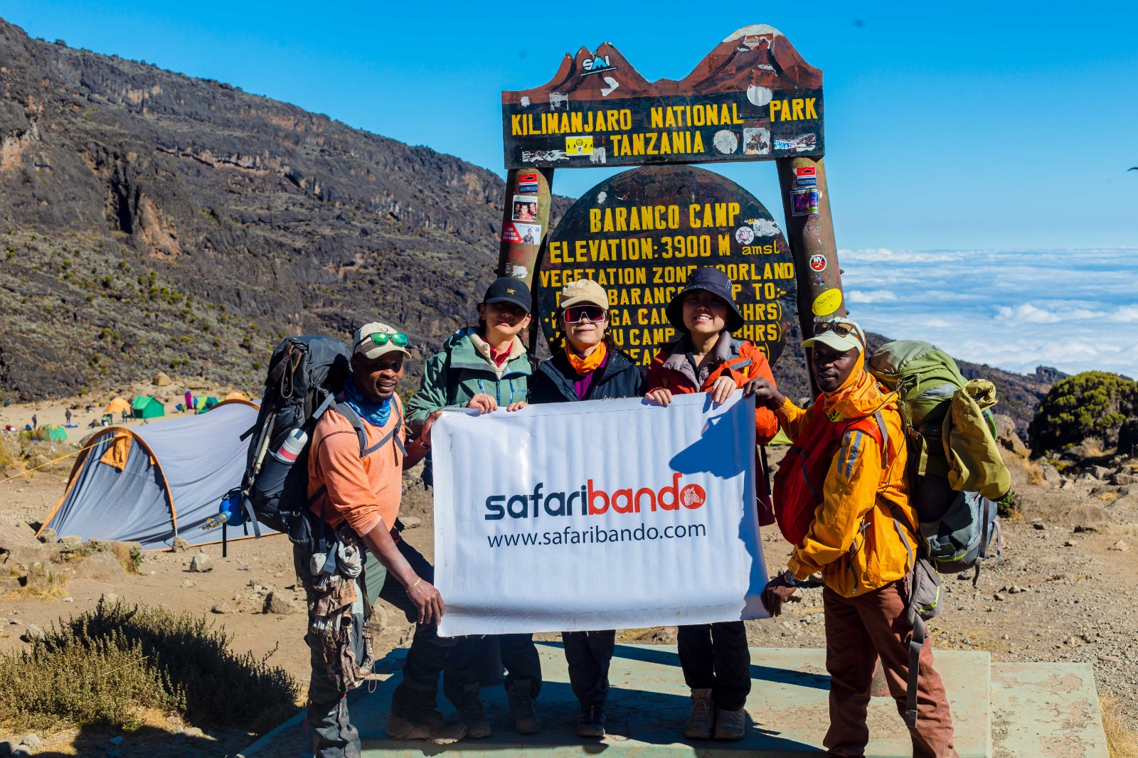 Why Moshi Is the Best Base for Kilimanjaro Trekking and Safari