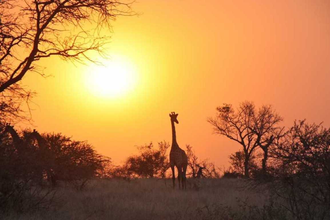 How to Pack and Prepare for your African safari