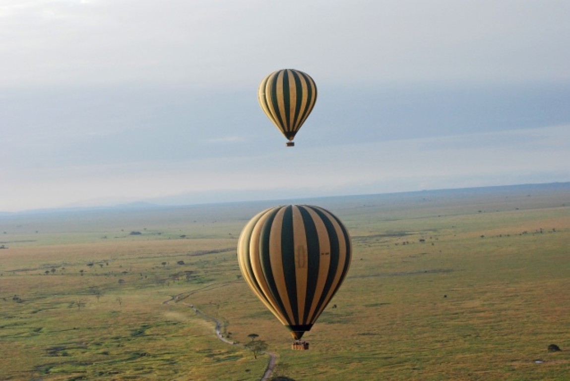 Serengeti or Masai Mara - which is best for African safaris