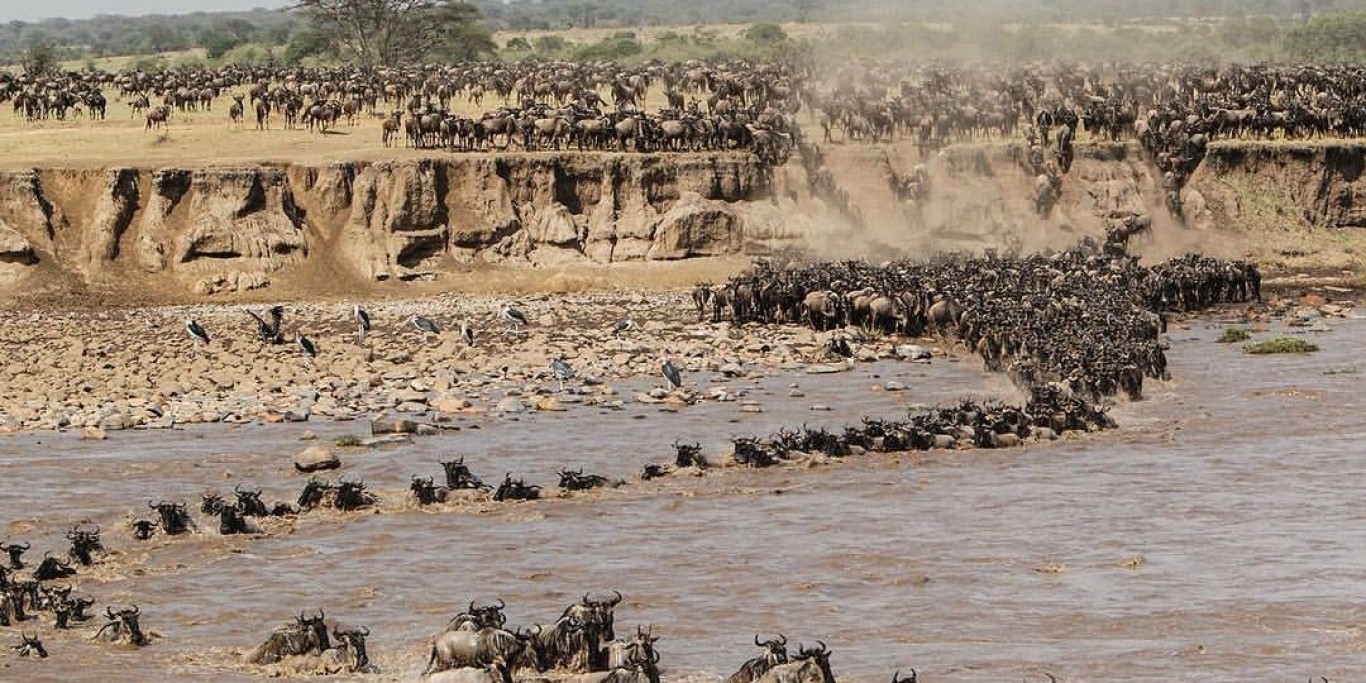 5 of the Best Places to See the Great Migration in Tanzania