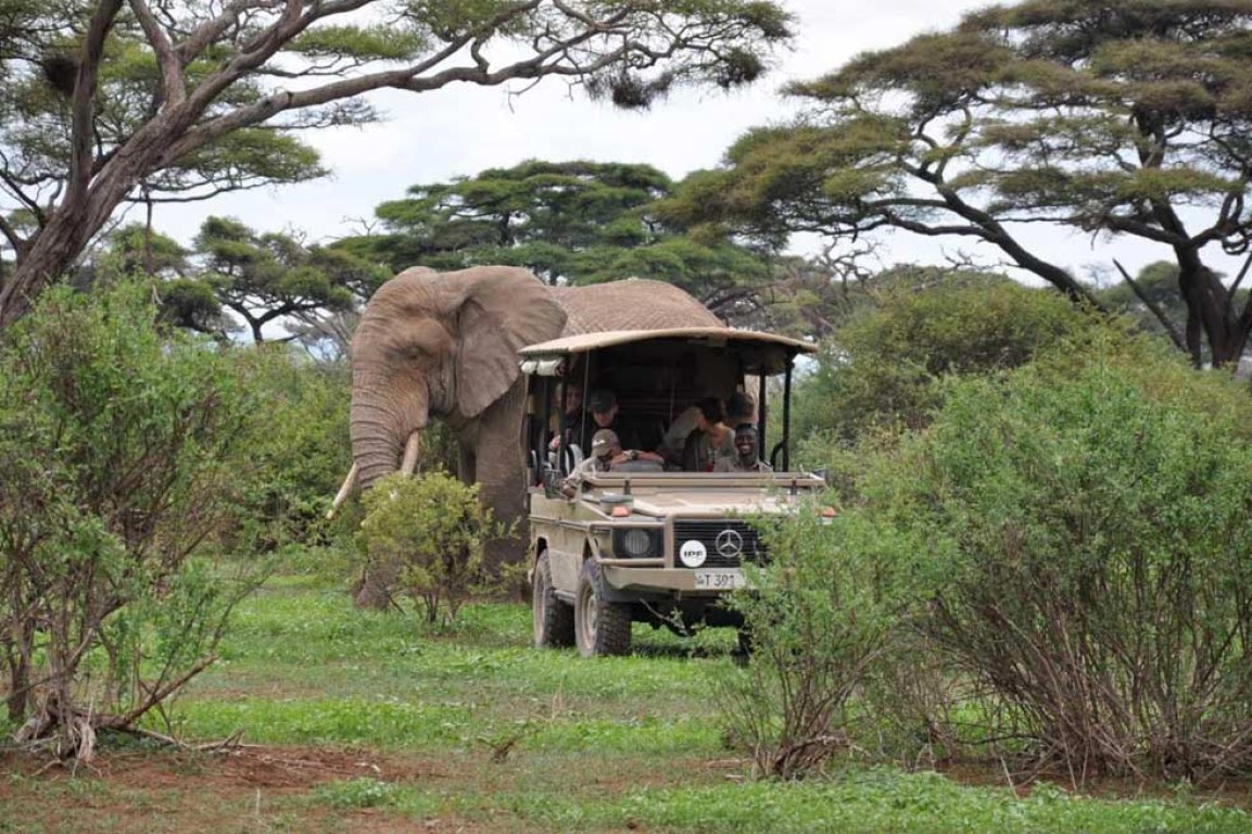 Top 3 Reasons to Visit Tanzania