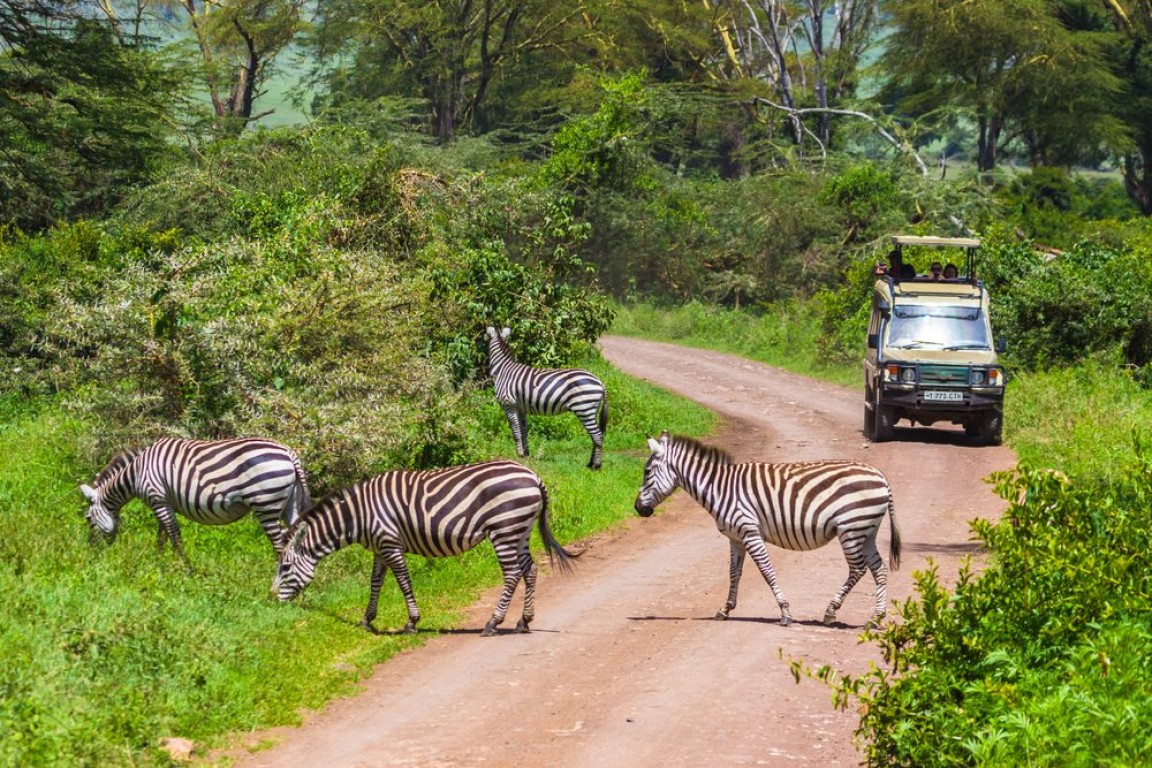 Tanzania Safari: The Most Common Questions Answered