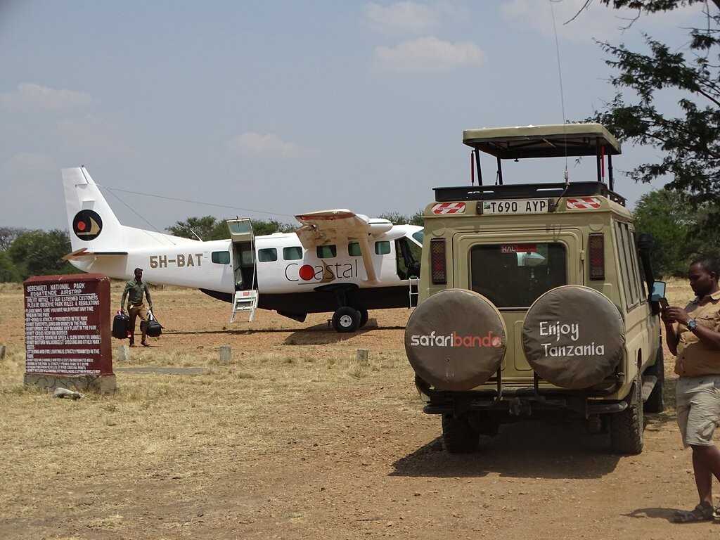 See the Best of Tanzania's Wildlife on a Fly Safari