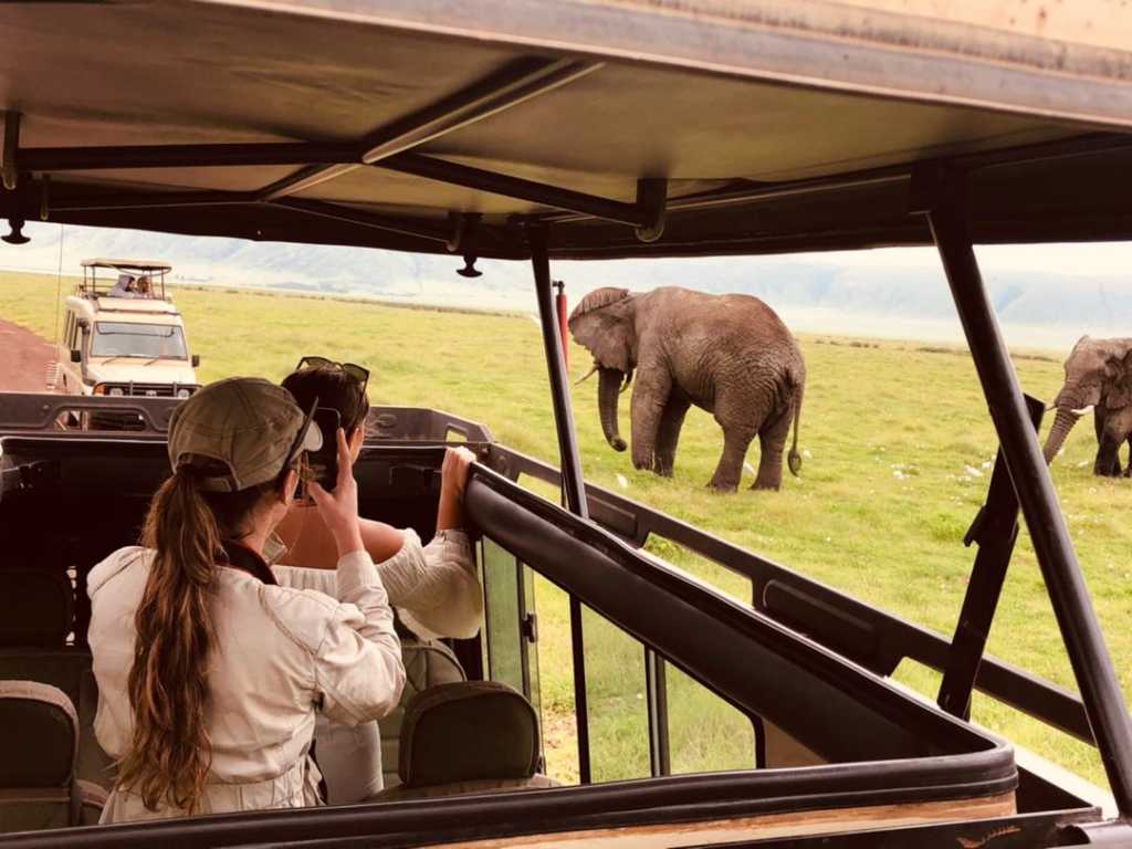 Last Minute Tanzania Safari from Zanzibar