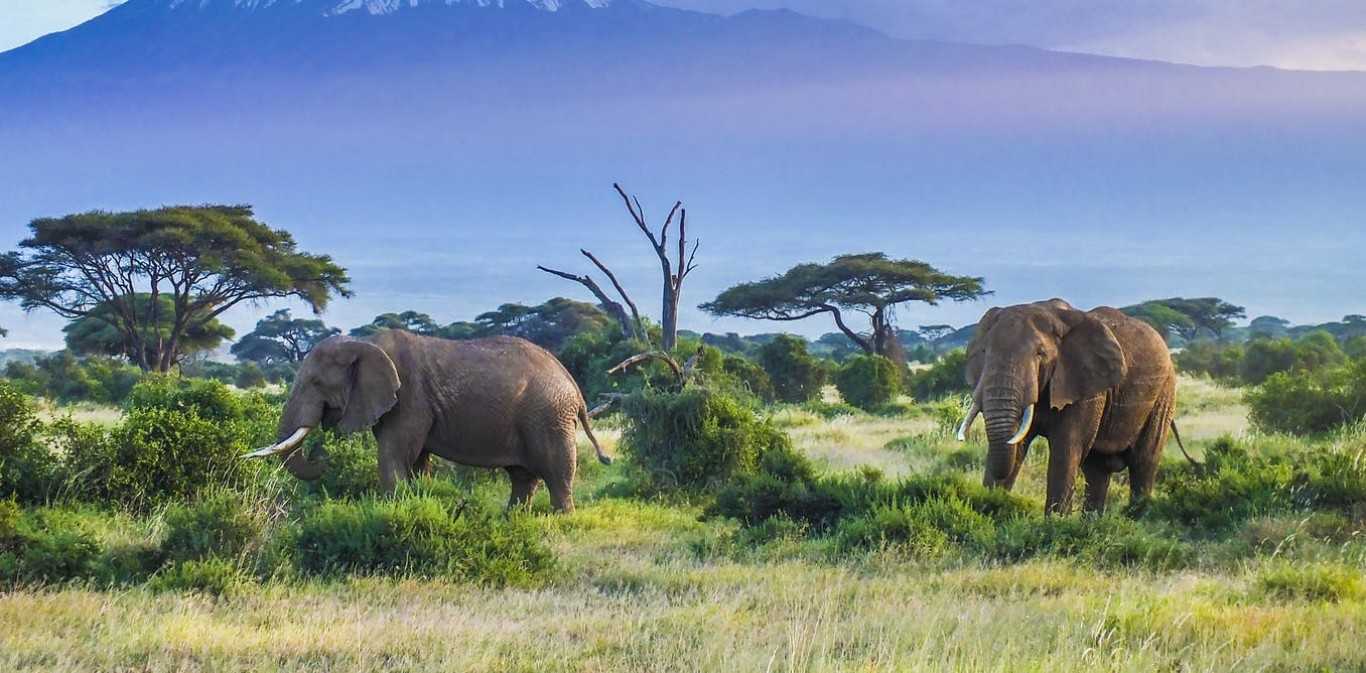 Kenya