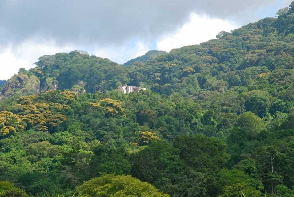 Udzungwa Mountains National Park