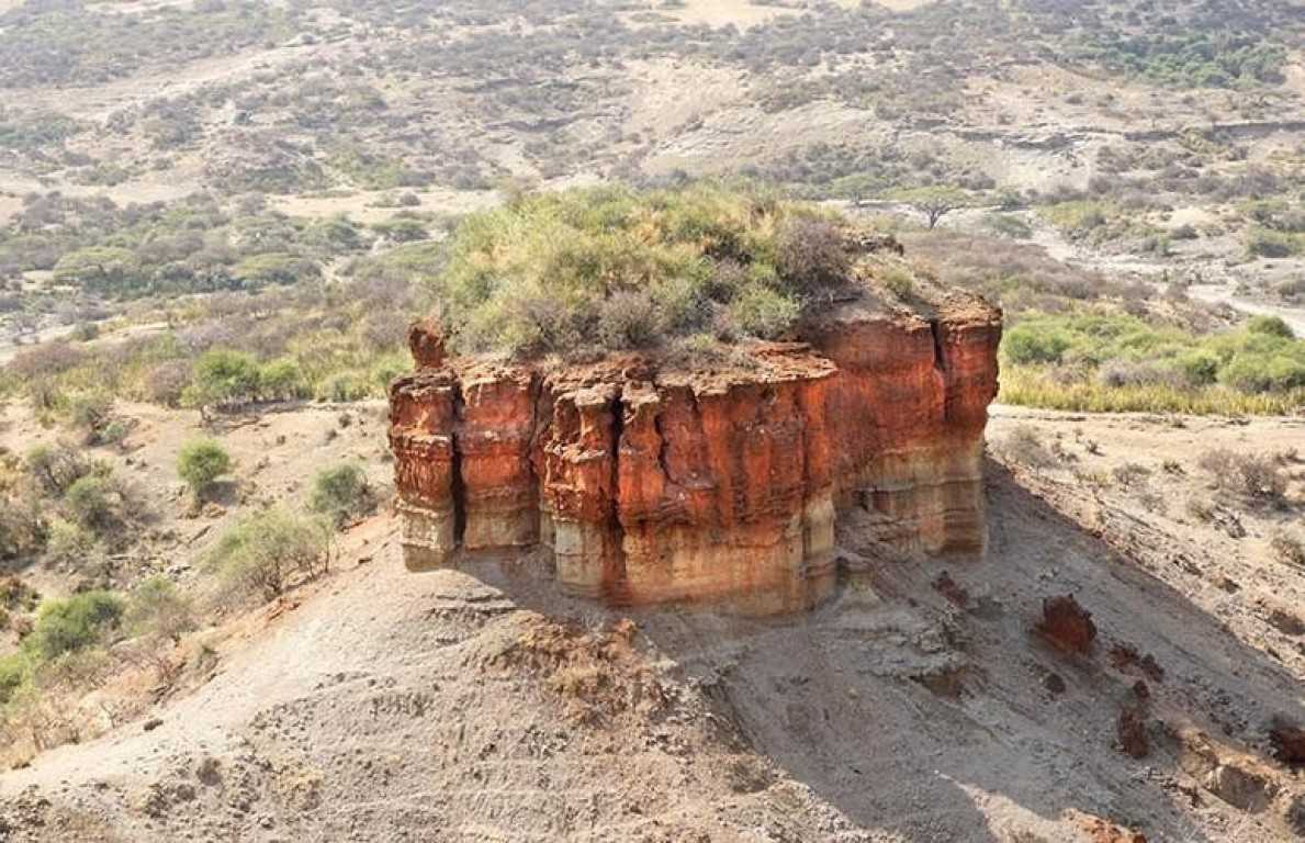 Olduvai Gorge & Laetoli