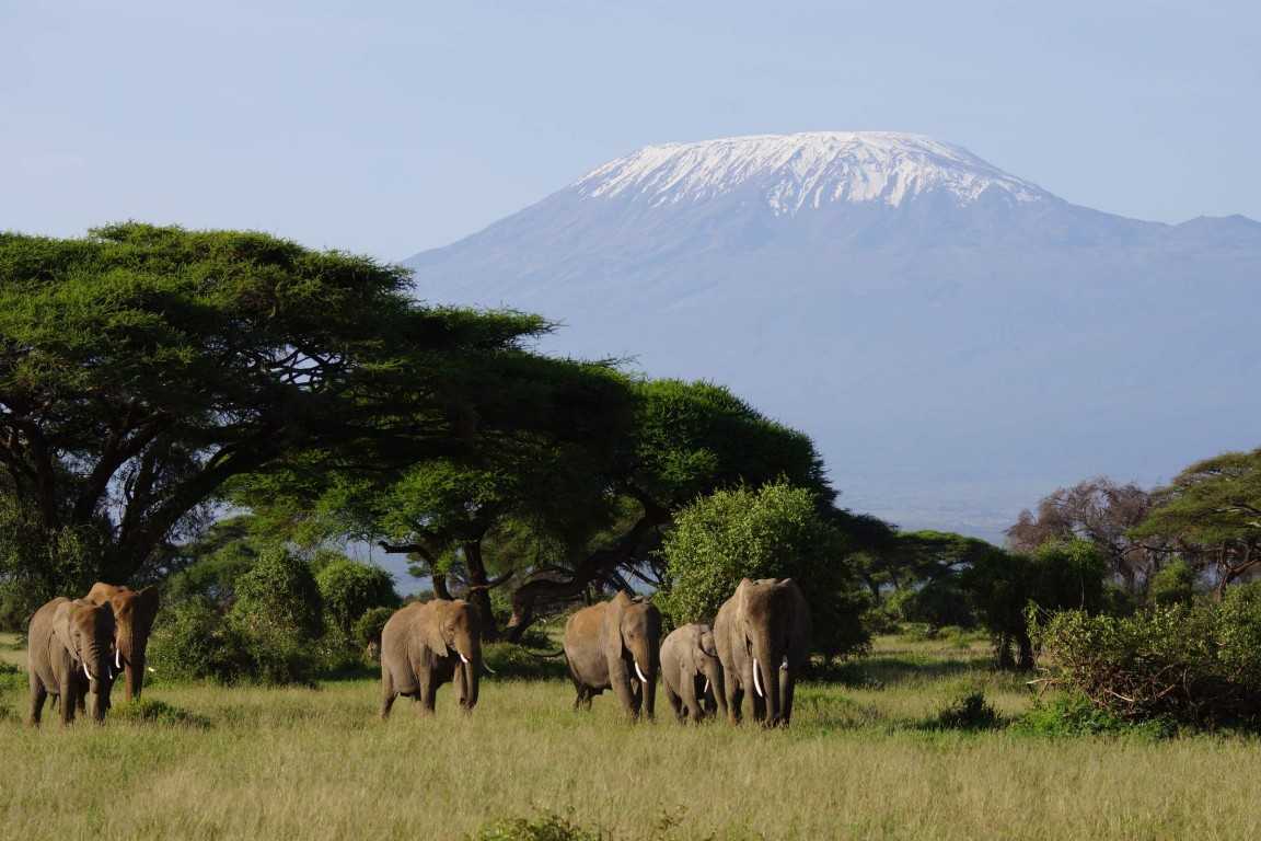 Amboseli National Reserve