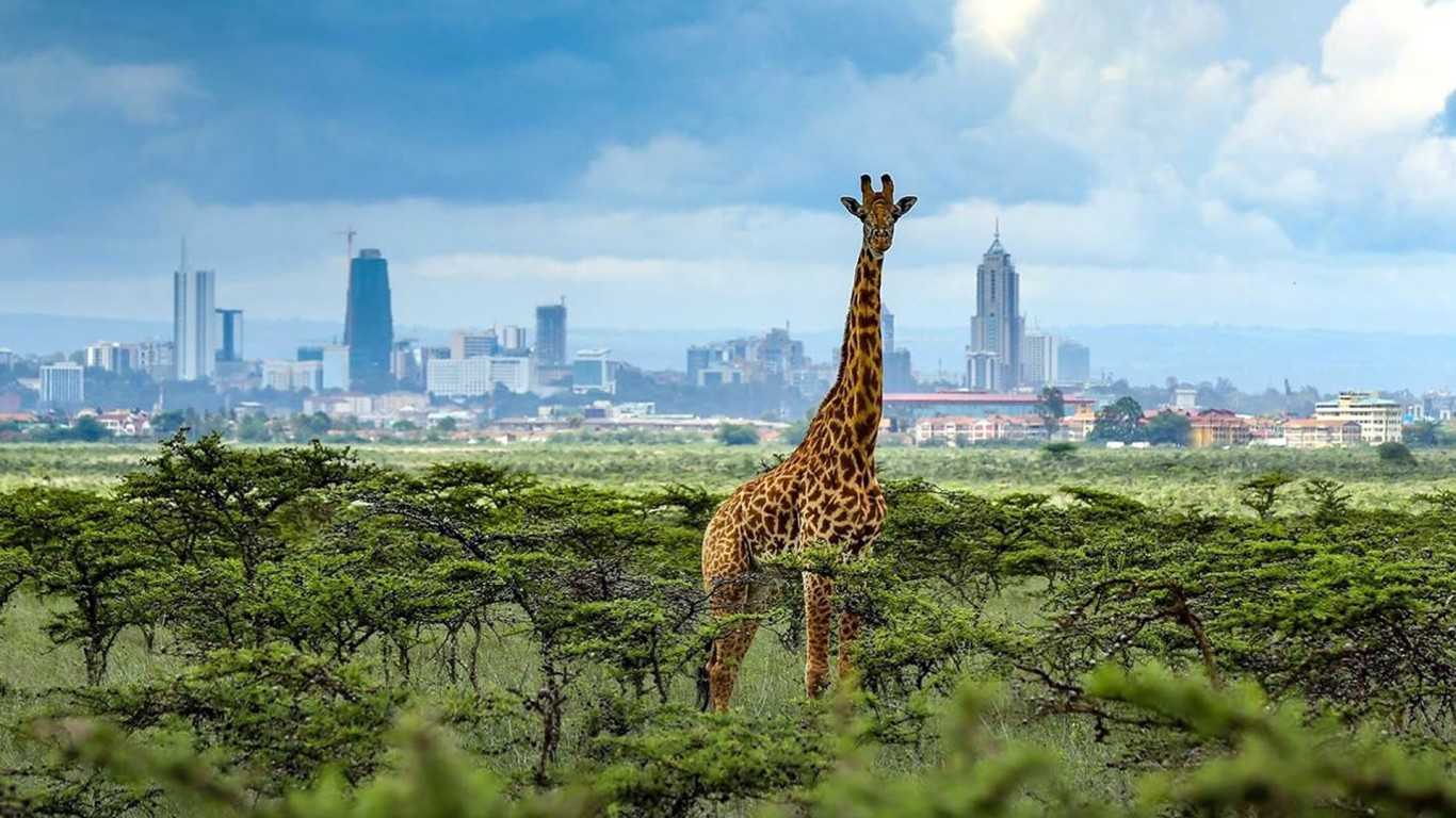 Nairobi National Park