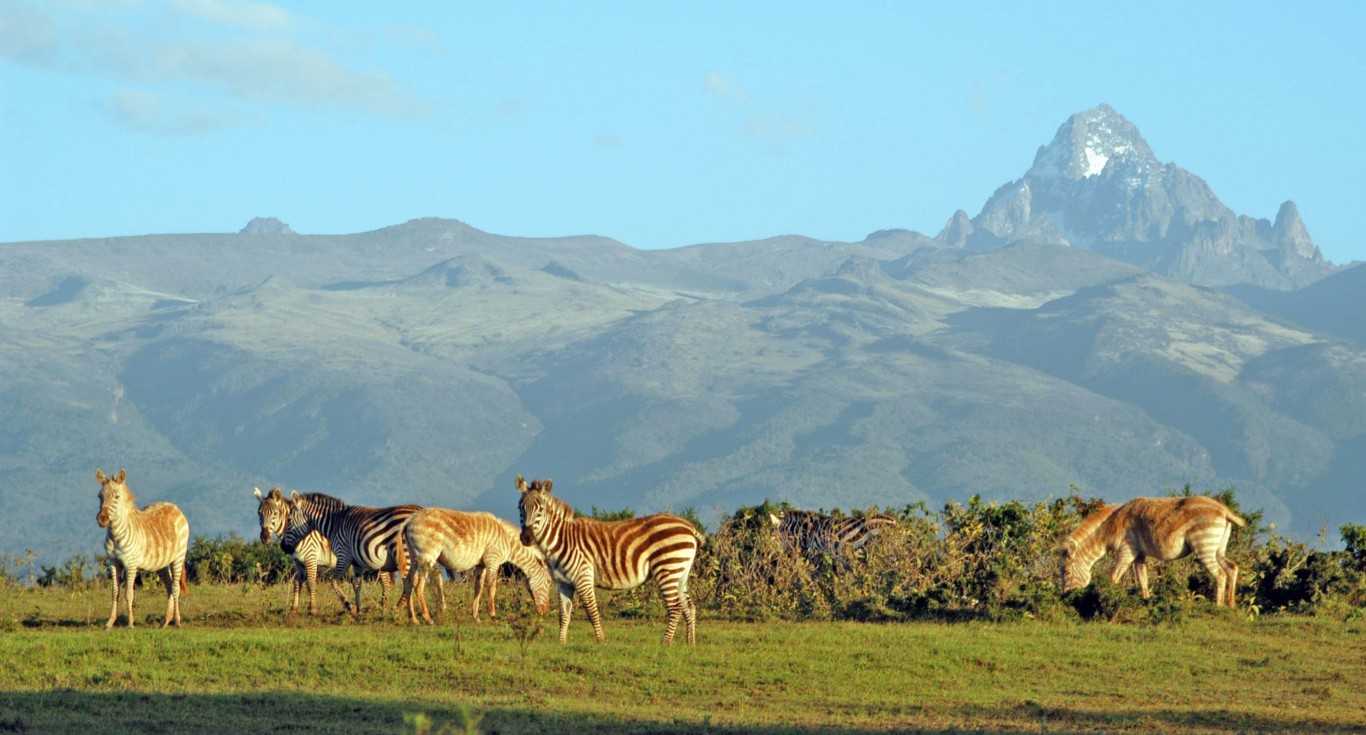 Mount Kenya National Park