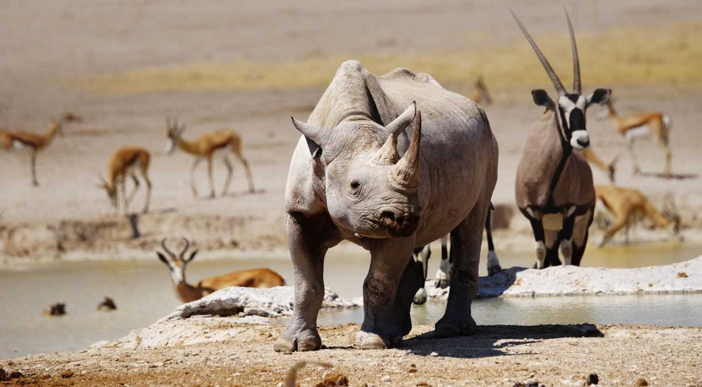 Etosha National Park