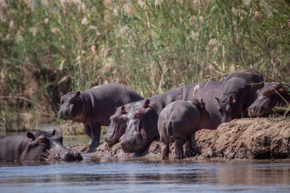 Mana Pools National Park