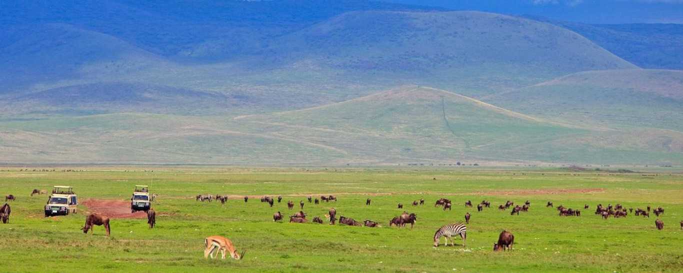 Ngorongoro Crater