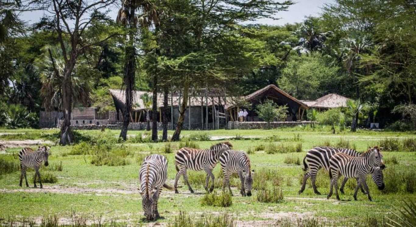Chem Chem Lodge, Lake Manyara National Park
