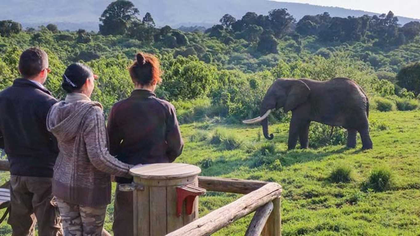 Ngorongoro Rhino Lodge