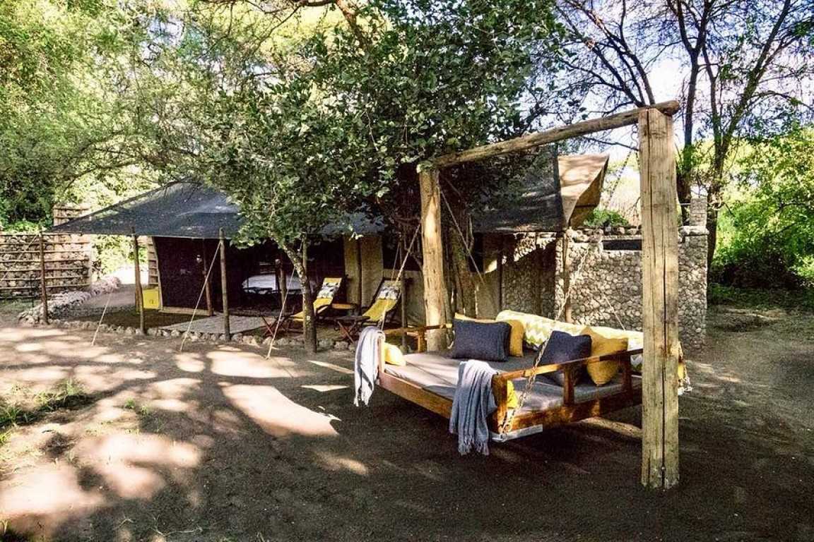 Forest Chem Chem Tarangire