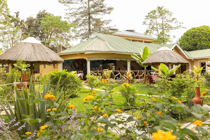 Africa Safari Arusha