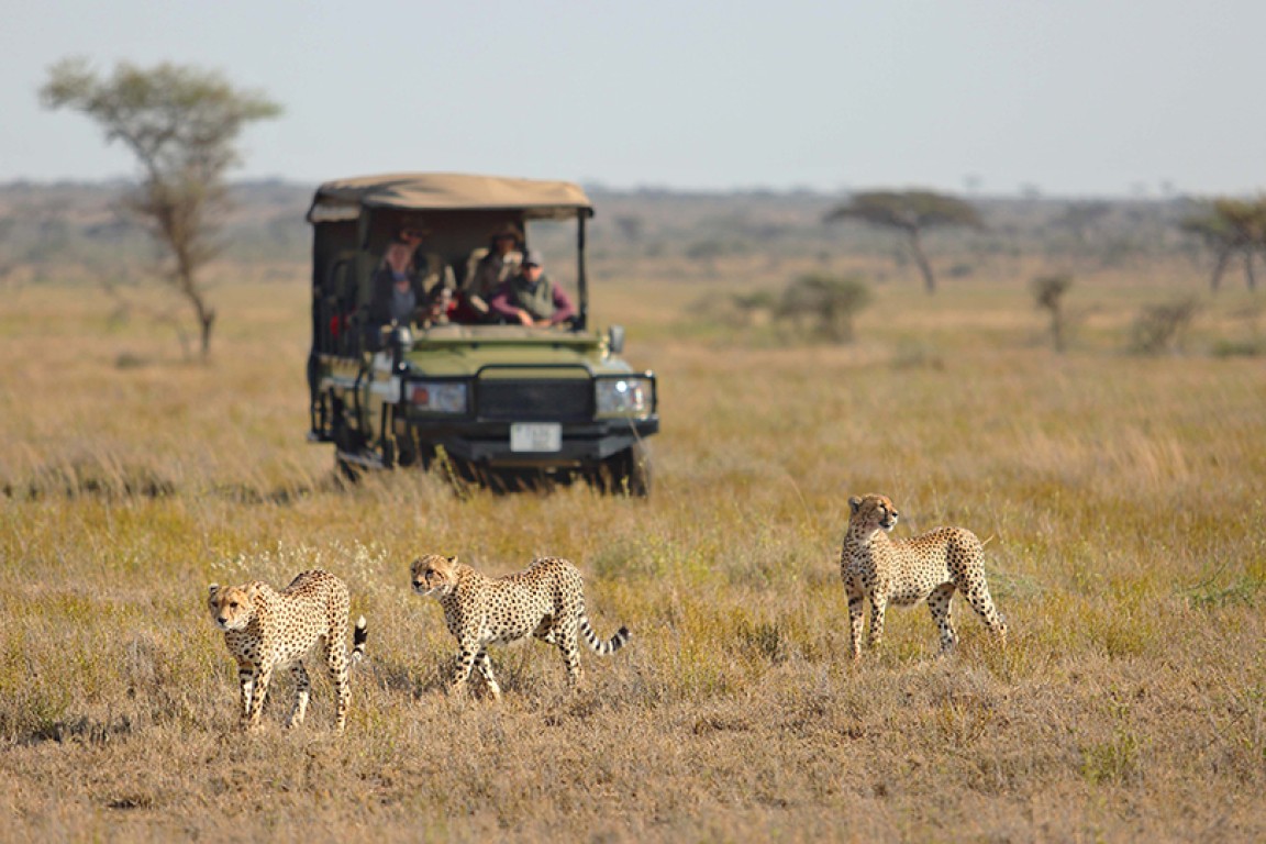 4 Days Serengeti Fly In Luxury Safari Tanzania