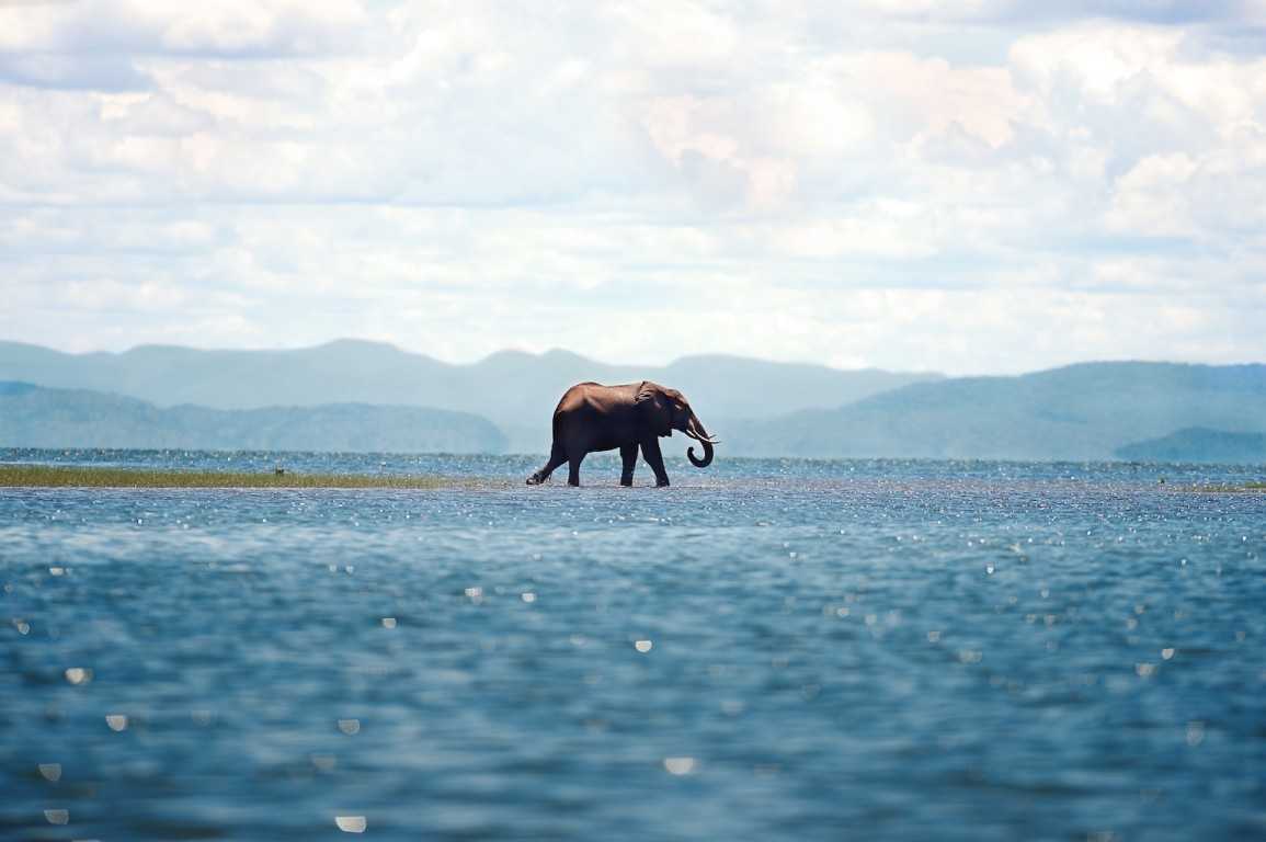 15 Days Tanzania Safaris and  Zanzibar Holiday