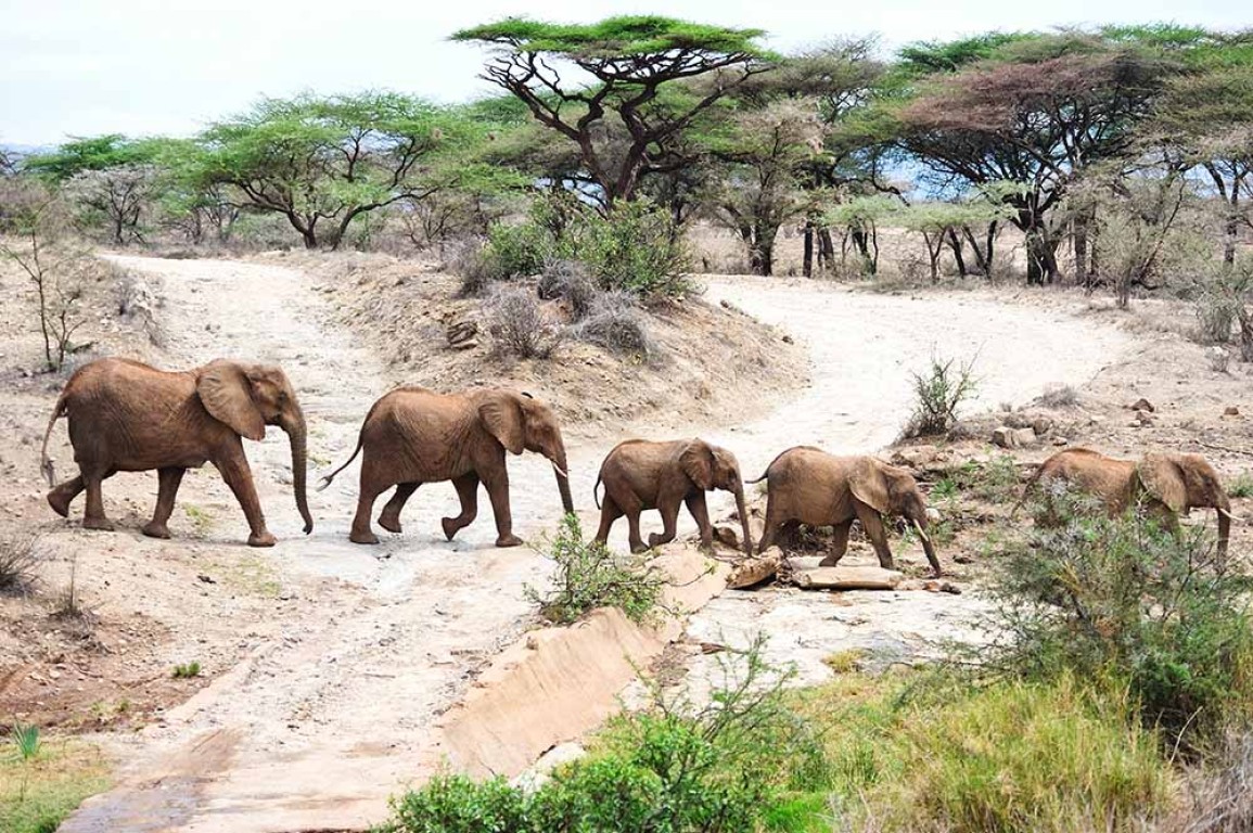 2 days Katavi National Park Tanzania Safari