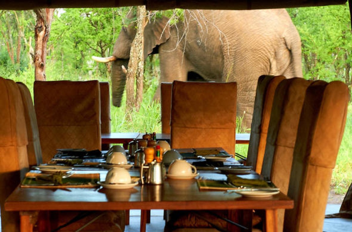 11-Day Tanzania Luxury Safari Tarangire and Serengeti Greatest Hits