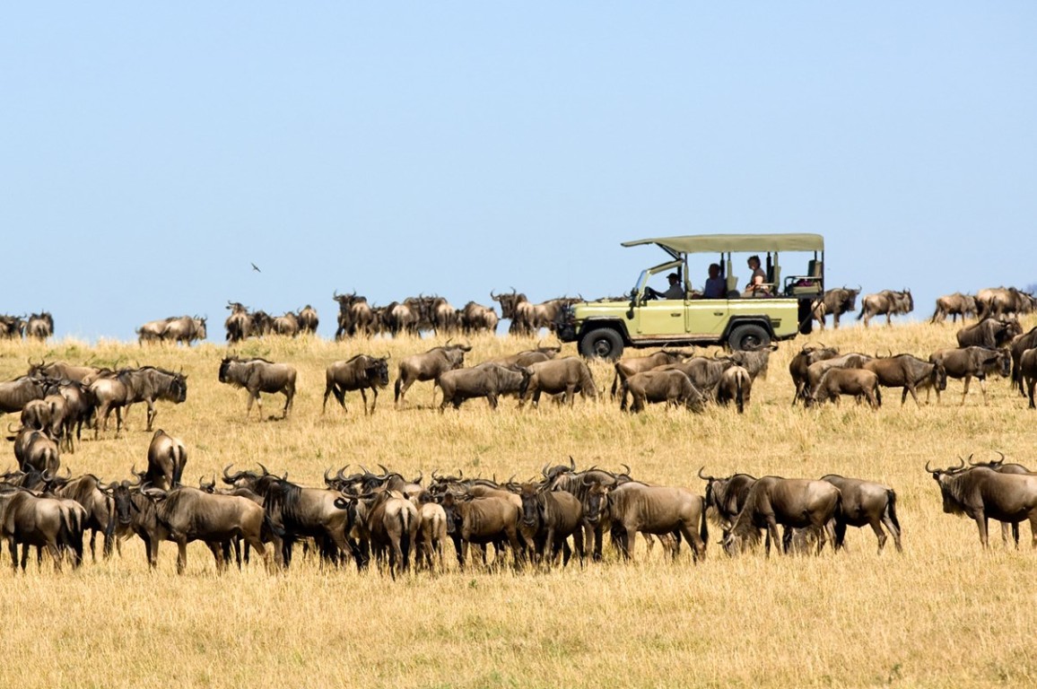 12-Day Tanzania Luxury Safari  Animals & Islands