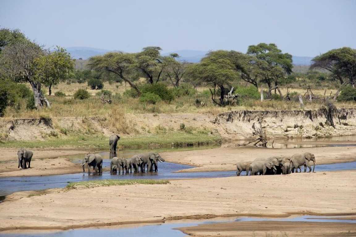 2 Days  Tanzania Safari to Nyerere (Selous)