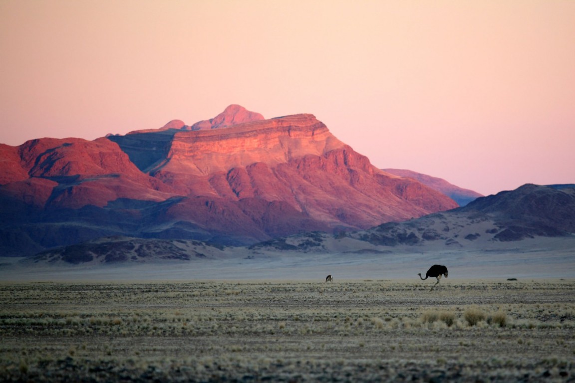 11-Day Northern Namibia Self-Drive Adventure