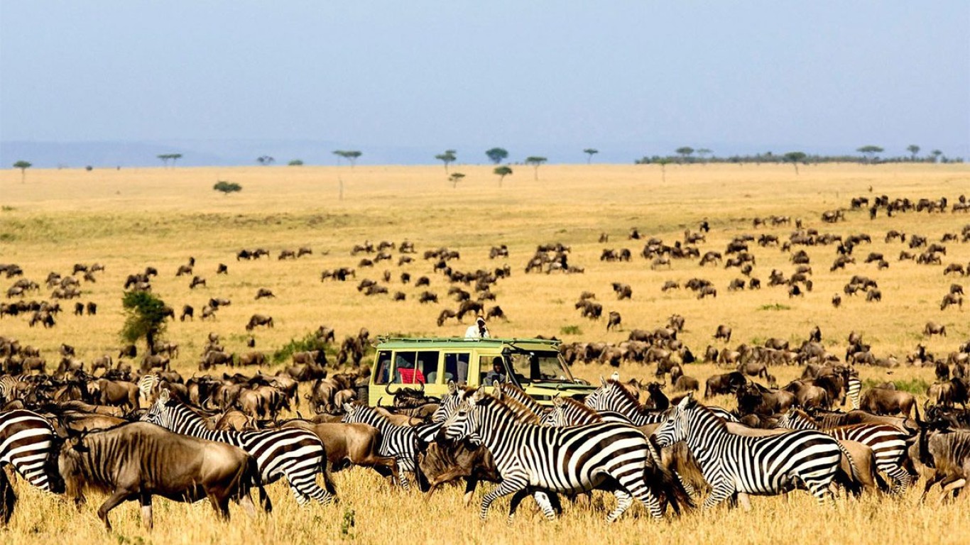 3 Days Tanzania Safari in Serengeti National Park.,2